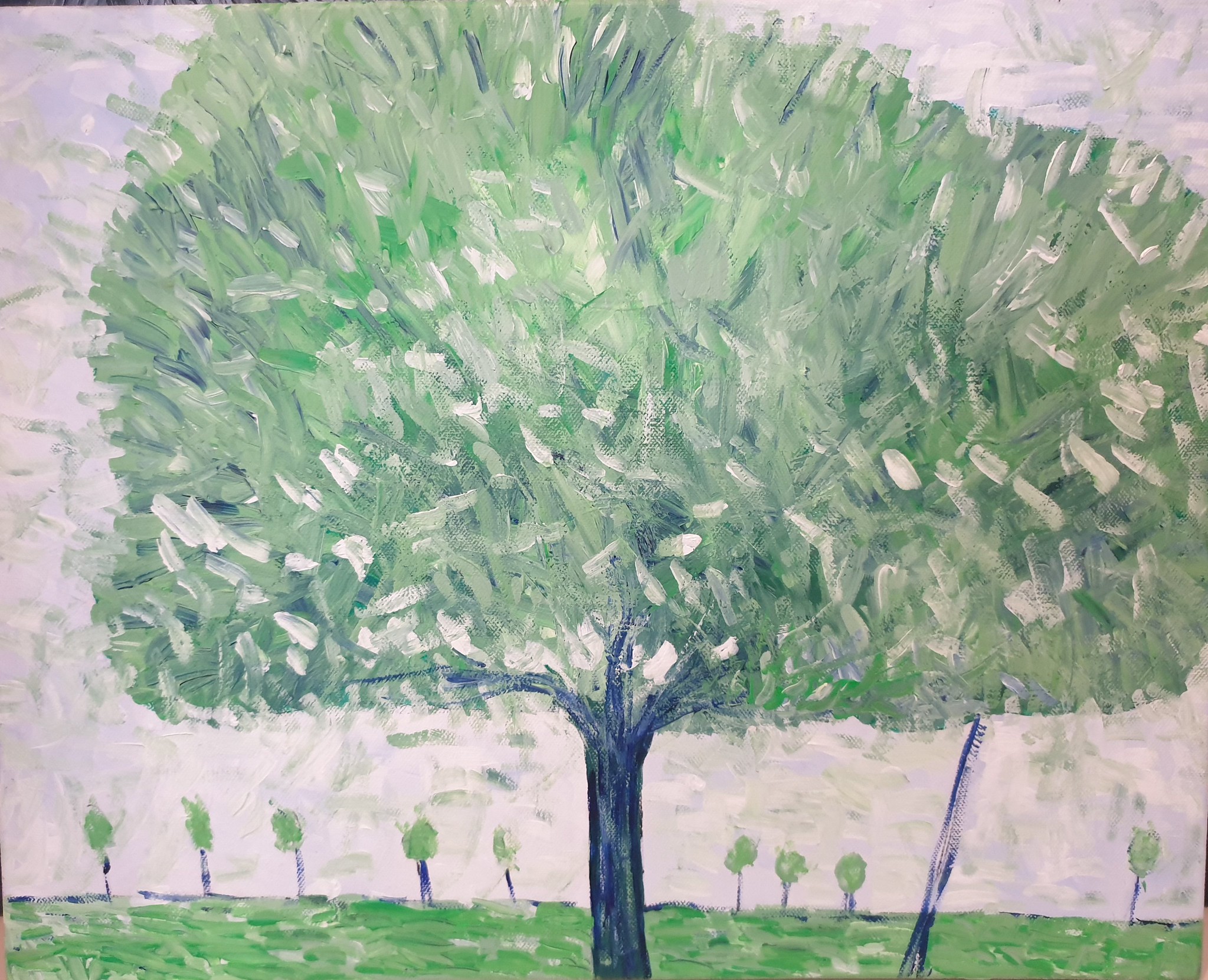 49931472992_a85741ebd9_k