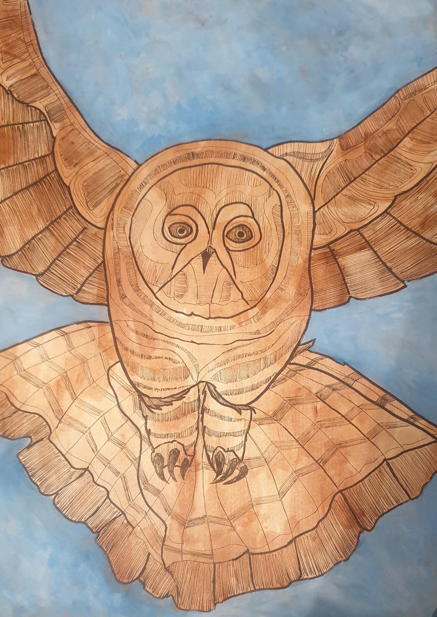 50822834942_51f4e4d602_k