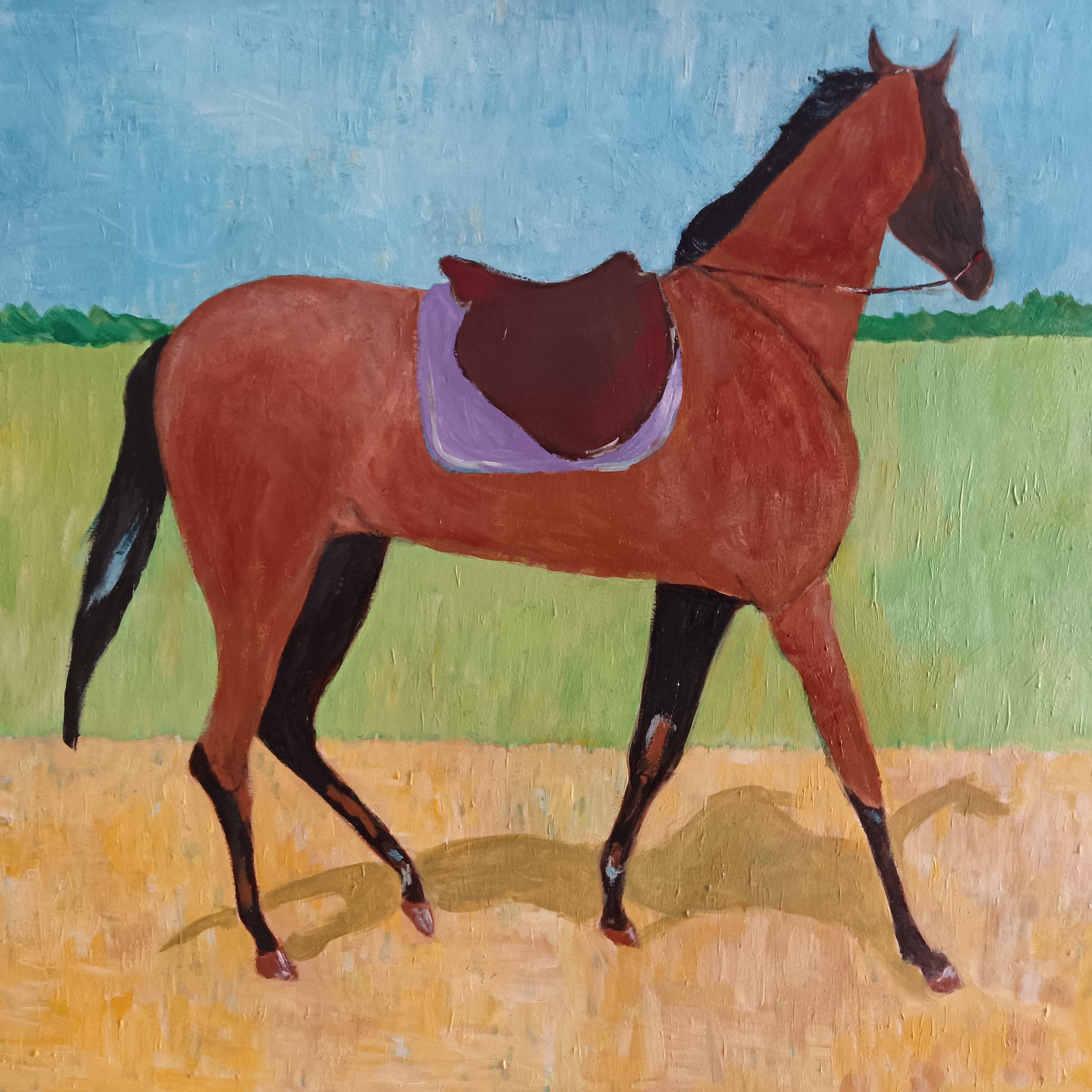 52269823276_0b11c4c079_k