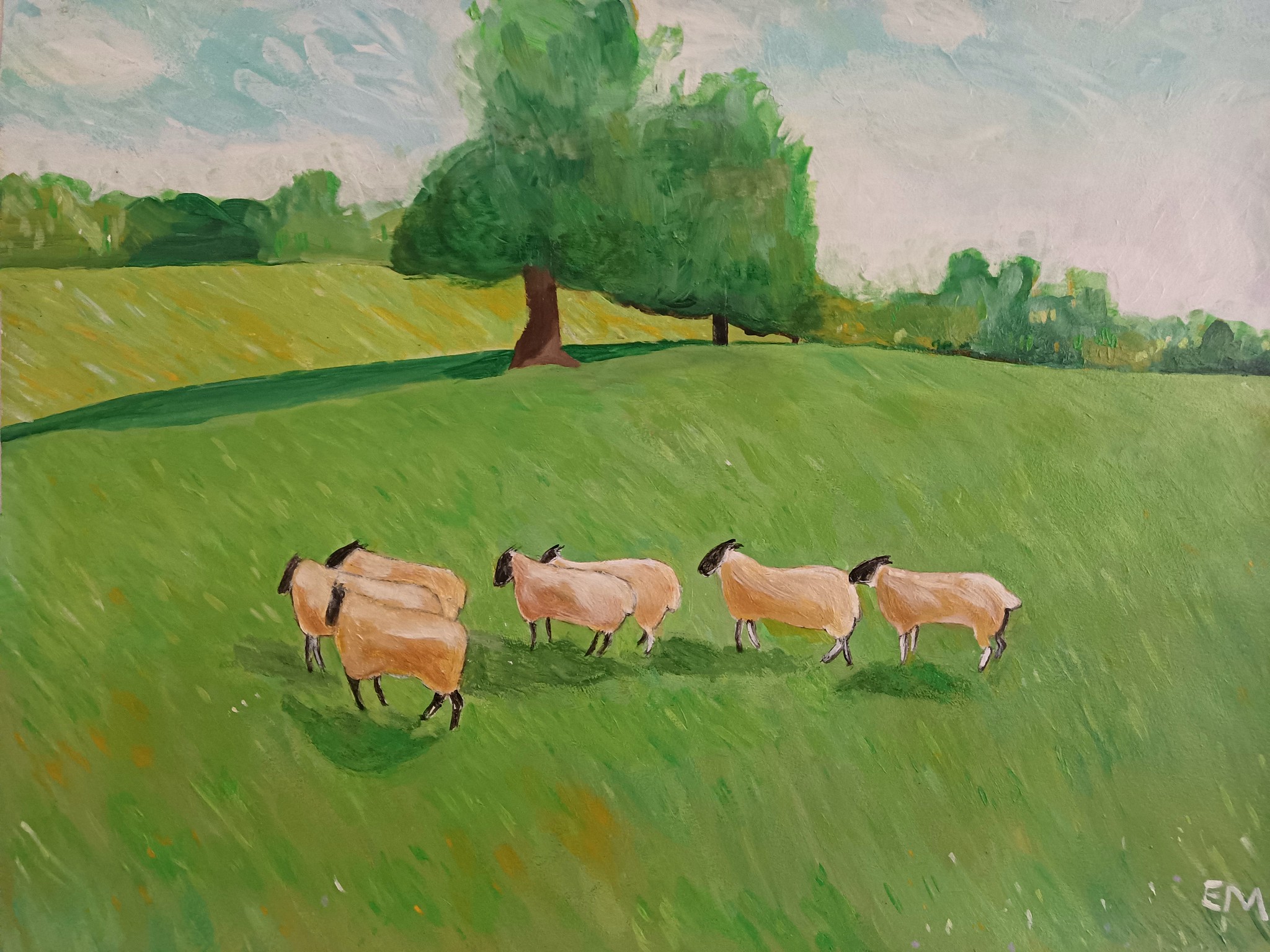 52462297547_9a457b8ec9_k